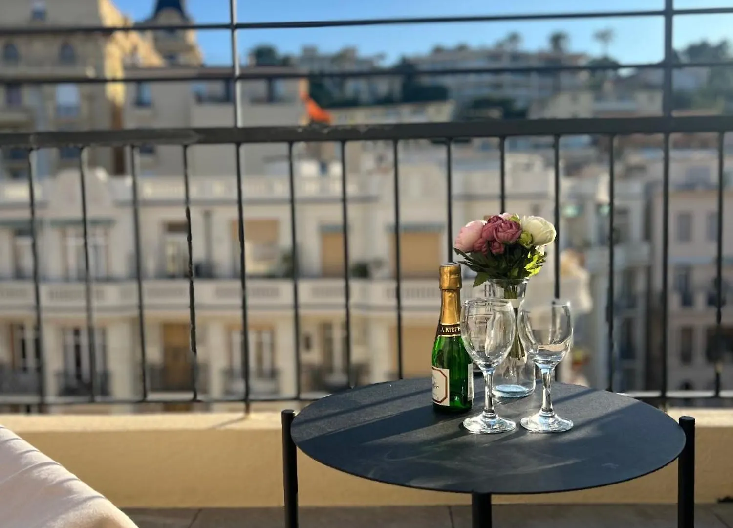 Charming Studio With Terrace Apartment Nice
